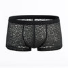 Luxury Lace Trunk