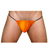 PRIDE MESH G-STRING