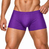 Pride Metro Trunk, Men's Underwear with Pouch