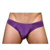 Pride Cheeky Metro Brief with Plus Pouch