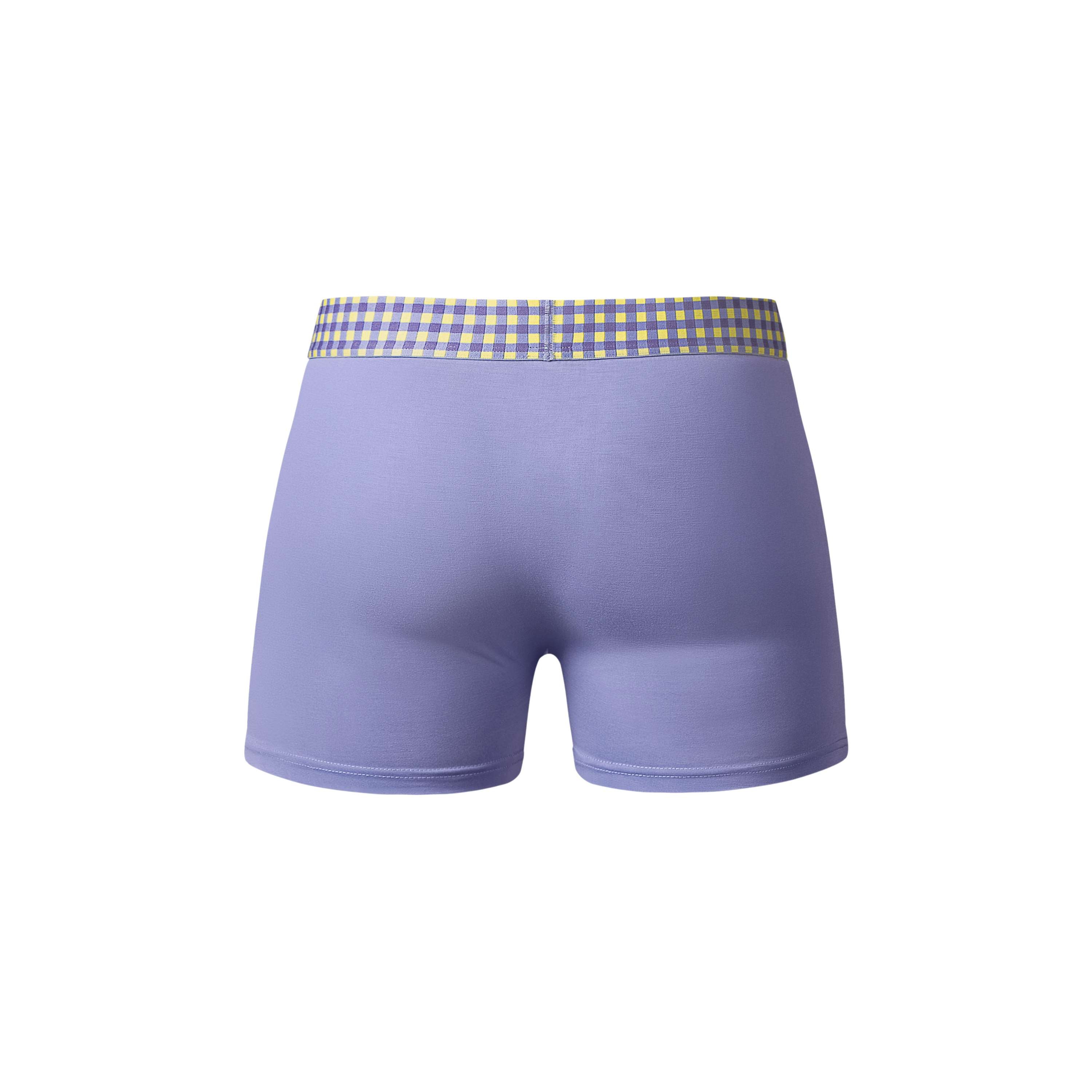 Male Power So Comfy Gingham Boxer Brief (Purple)