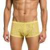 Luxury Lace Trunk