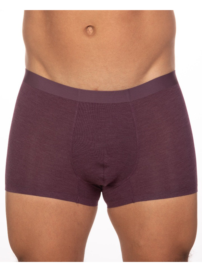 ANDREW VELASCO SHEER TRUNK