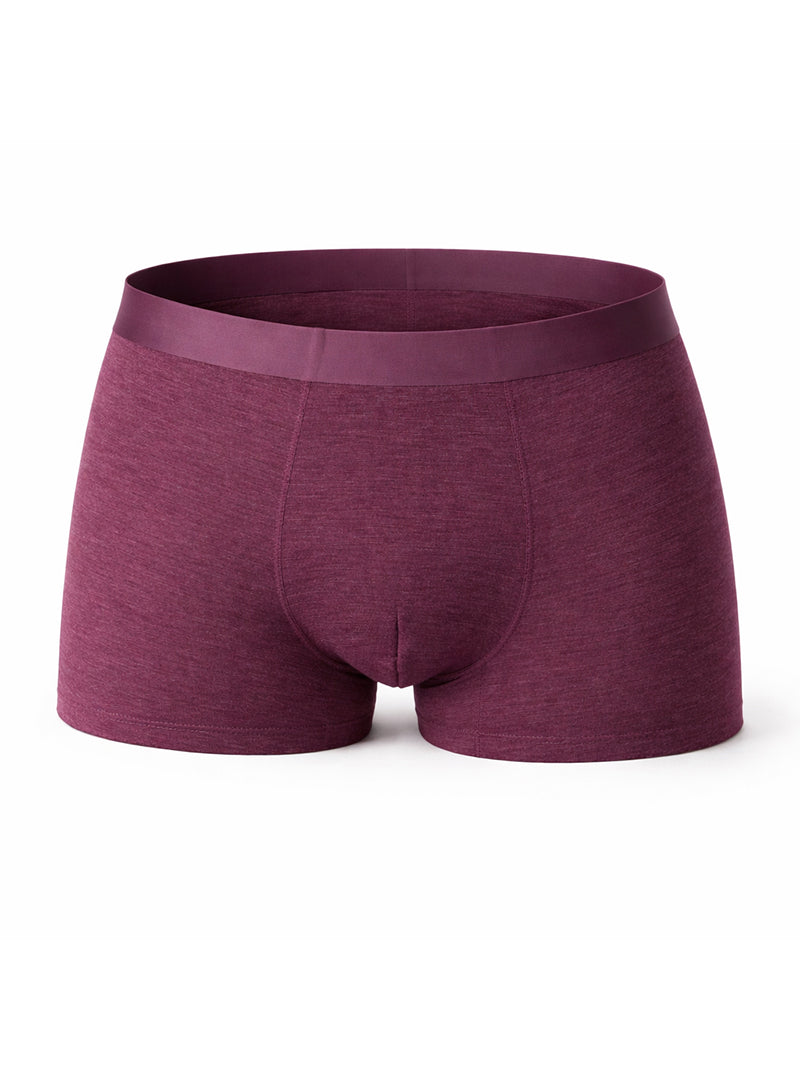 Andrew Velasco Sheer Trunk