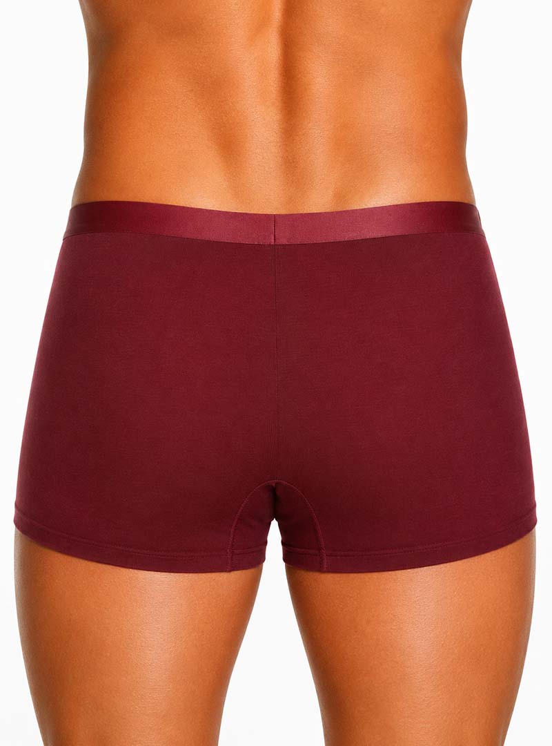 Andrew Velasco Solid Trunk