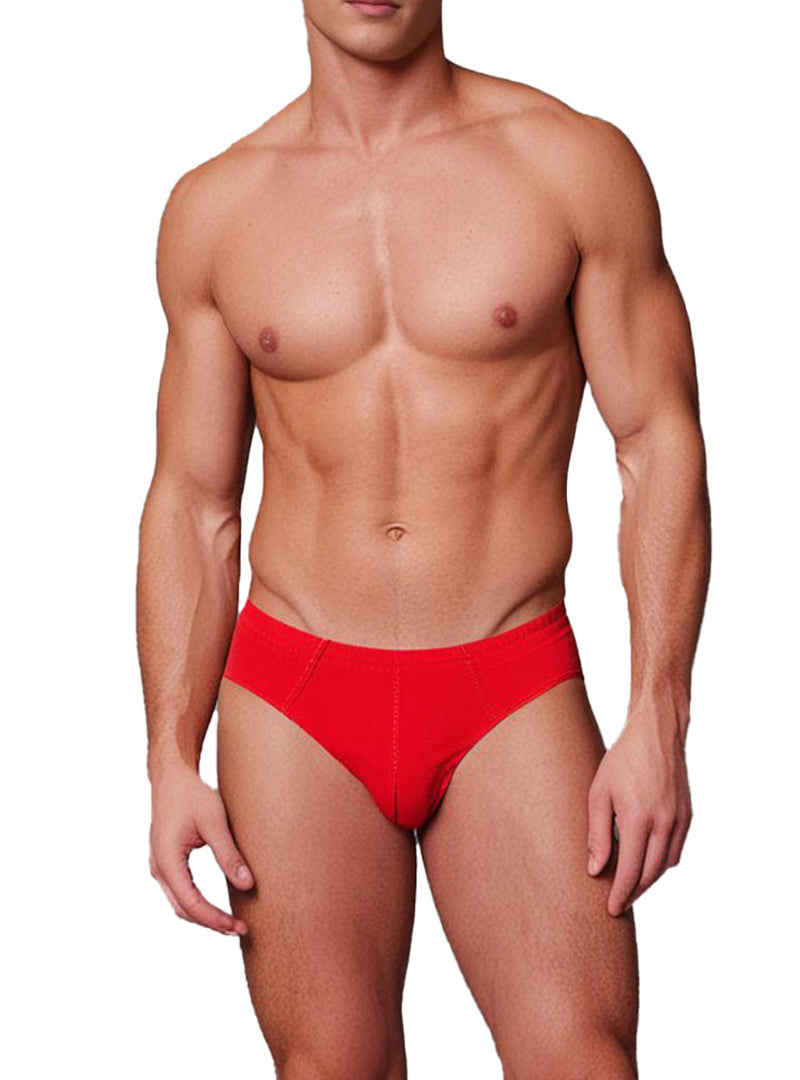 Basics Cotton Brief