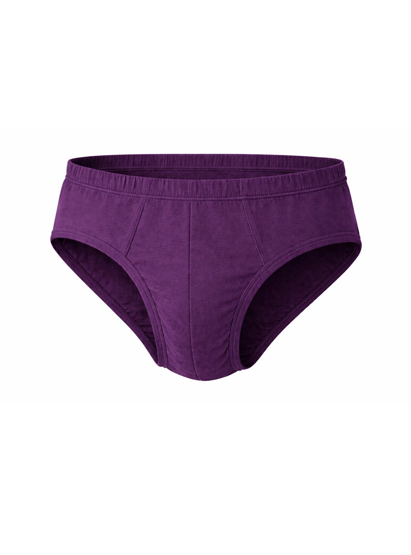 Undergear Contour French Brief
