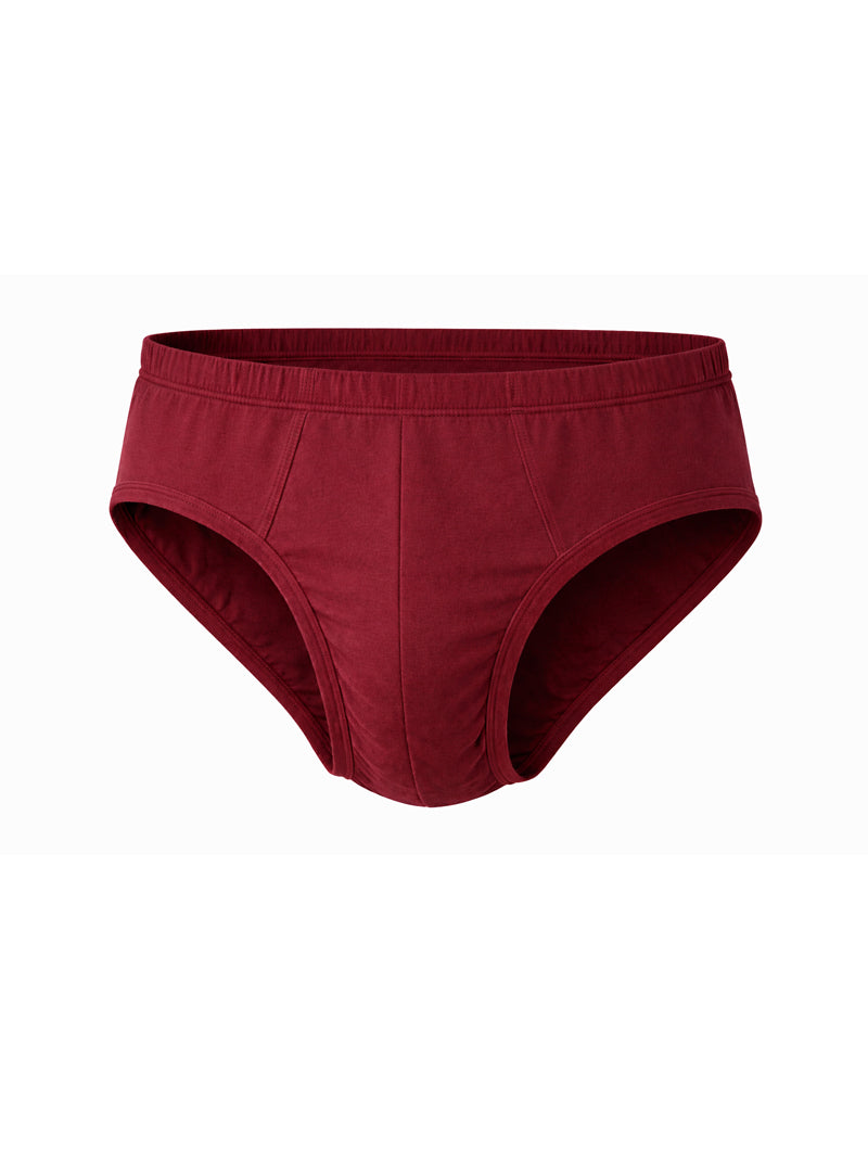 Undergear Contour French Brief