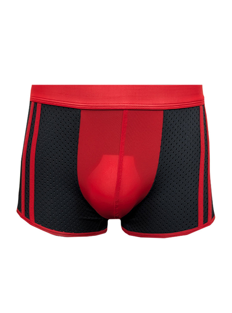 Dual Tone Trunk for Men