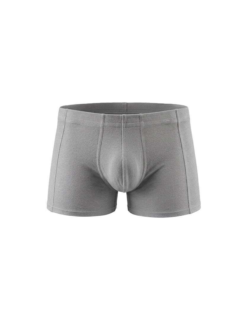 Grey Essential Trunk