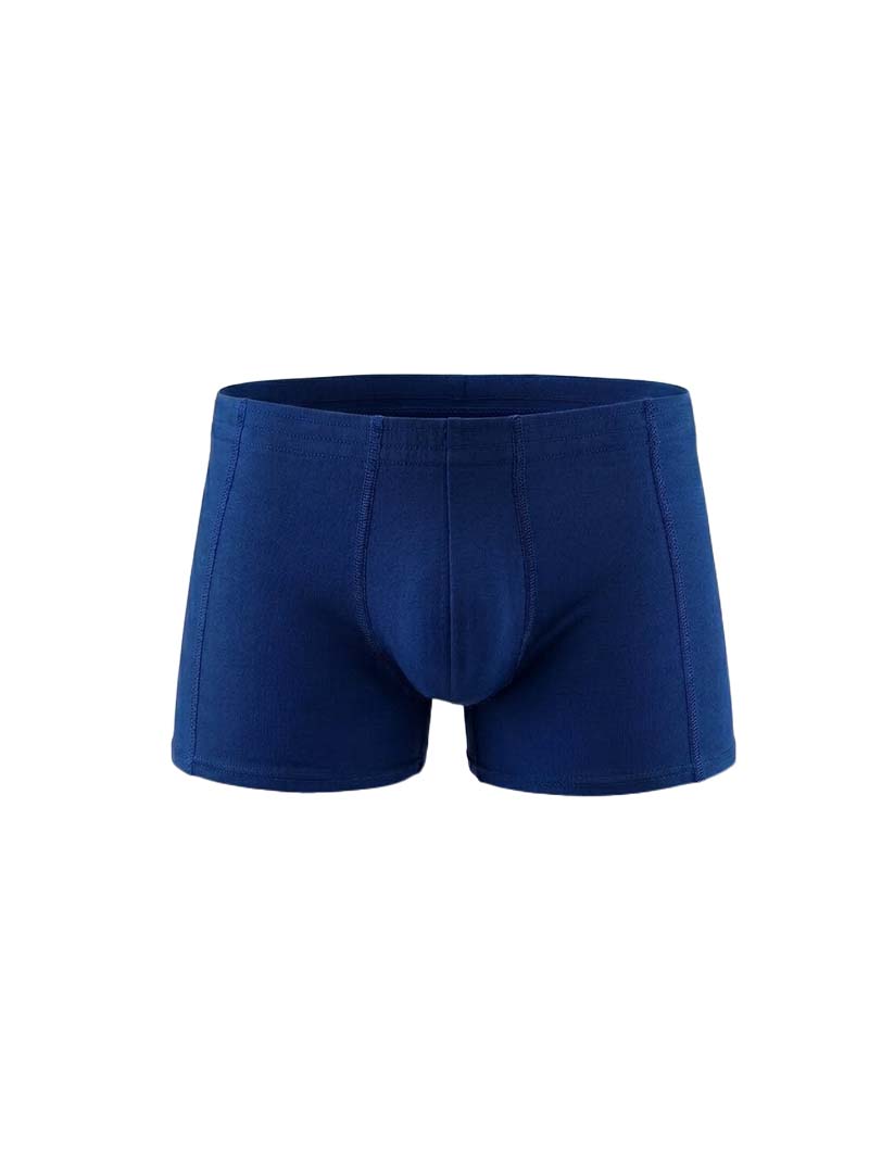 Navy Essential Trunk