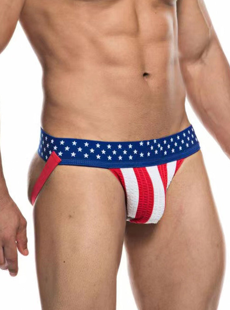 Undergear Fizx James Knit Jockstrap