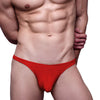 Undergear Fizx SleekLine Rayon Thong With Plus Pouch