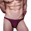 Undergear Fizx SleekLine Rayon Thong With Plus Pouch
