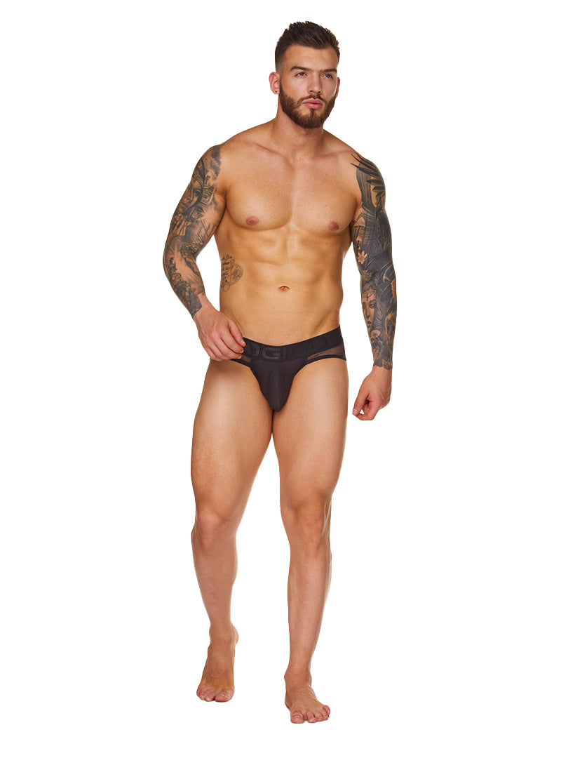 GIGO MEDITERRANEAN BRIEF