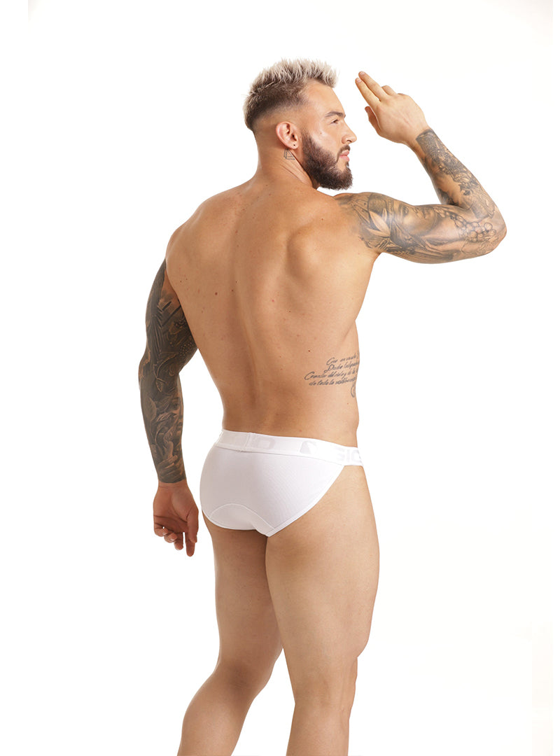 GIGO SCANALING STRING BRIEF