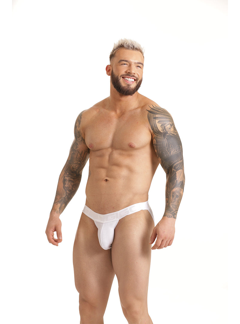 GIGO SCANALING STRING BRIEF
