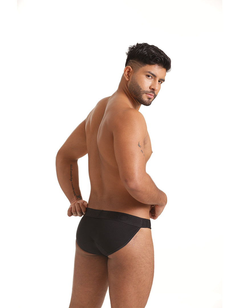 GIGO SCANALING STRING BRIEF