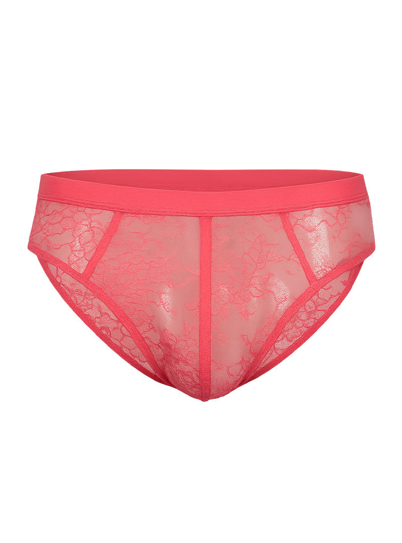 Luxury Lace Brief