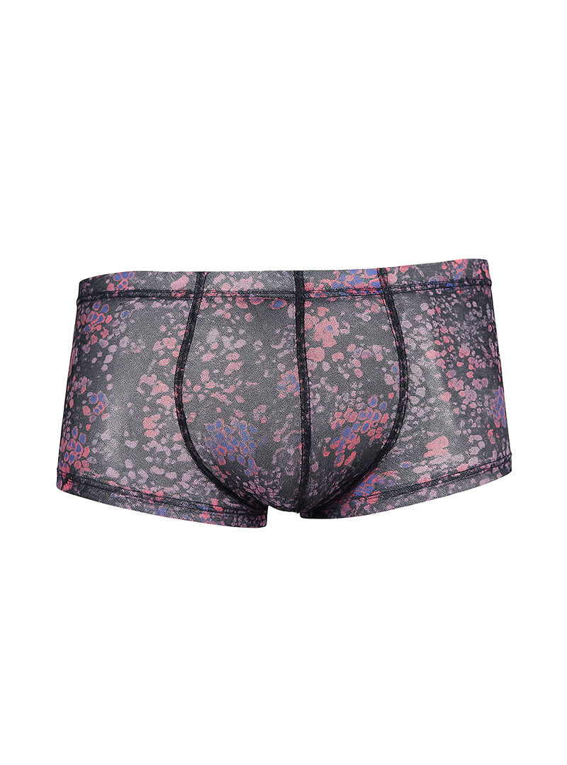 Assorted Trunk Bundle for Two