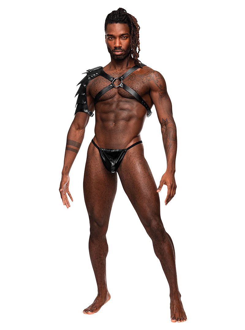 MALE POWER AQUARIUS HARNESS