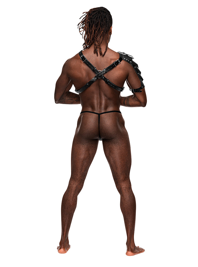 MALE POWER AQUARIUS HARNESS