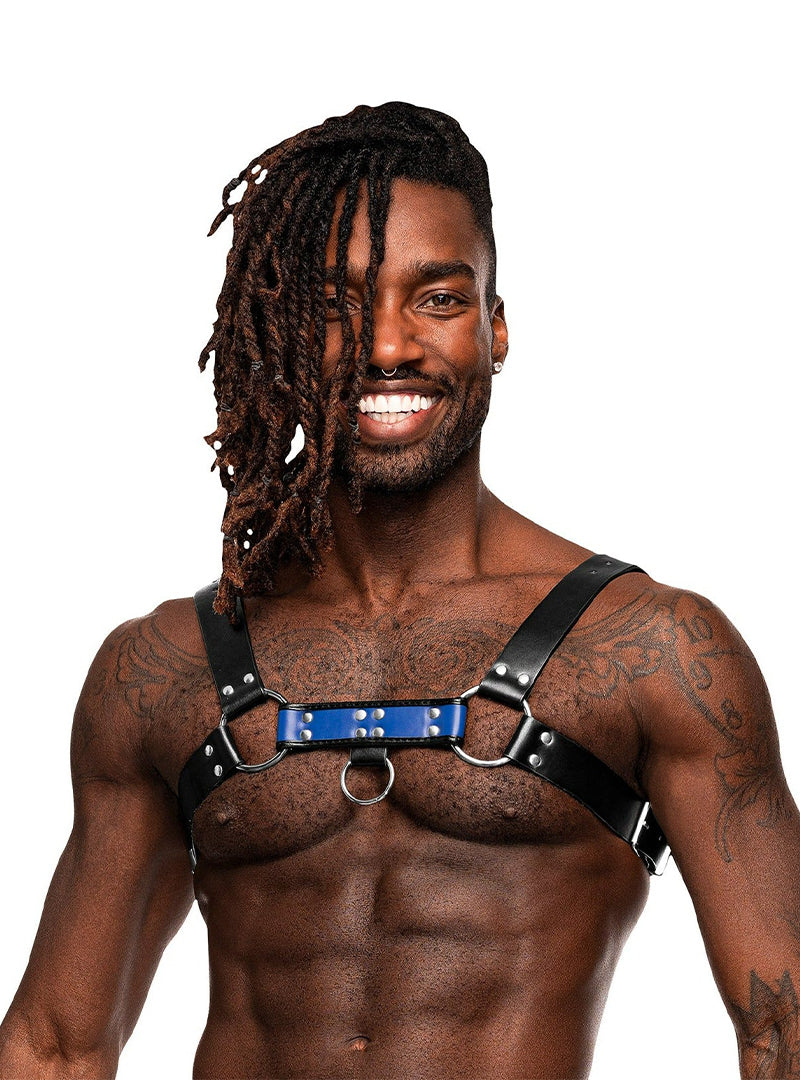 MALE POWER ARIES BLUE HARNESS