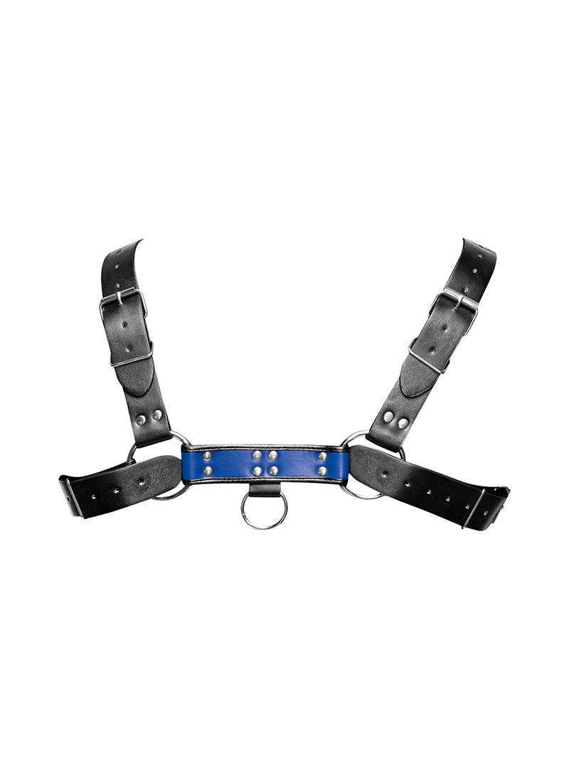 MALE POWER ARIES BLUE HARNESS