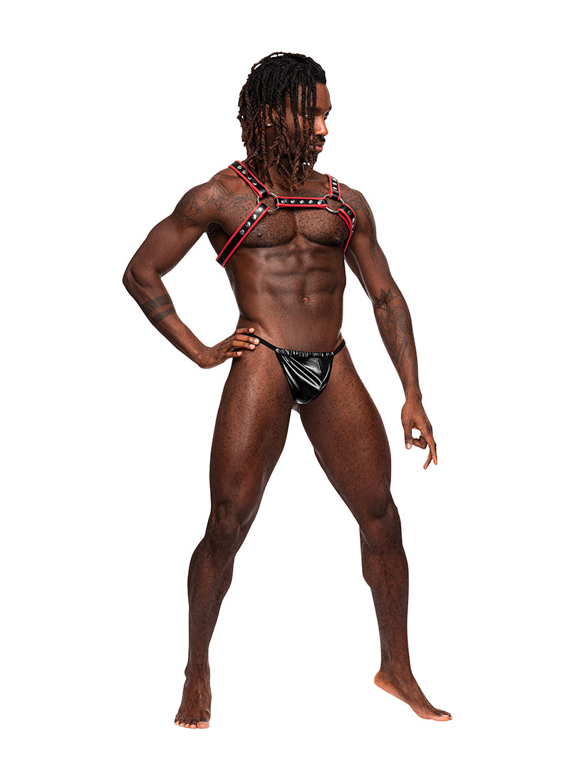MALE POWER LEO HARNESS