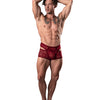 MALE POWER LUCIFER LACE CUTOUT SHORT