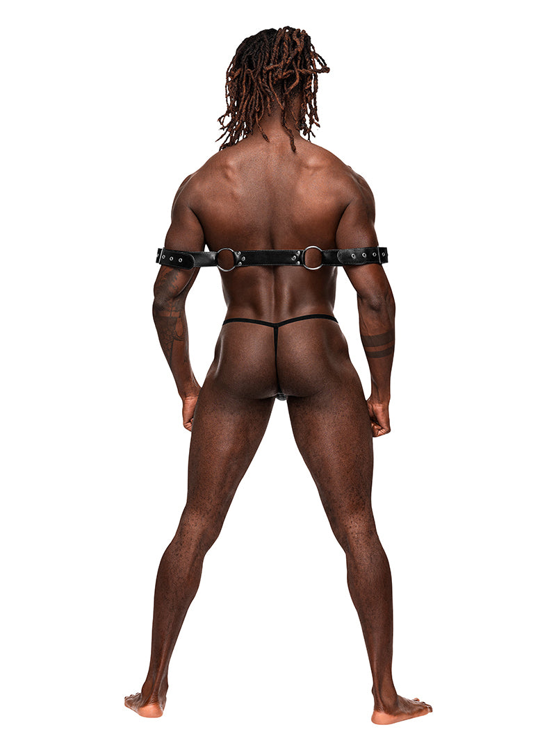 MALE POWER PISCES ARM RESTRAINTS