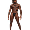 MALE POWER SAGITTARIUS HARNESS