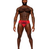 MALE POWER SASSY LACE BIKINI SOLID POUCH