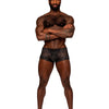 MALE POWER SASSY LACE MINI SHORT SHEER POUCH
