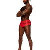 MALE POWER SASSY LACE MINI SHORT SHEER POUCH