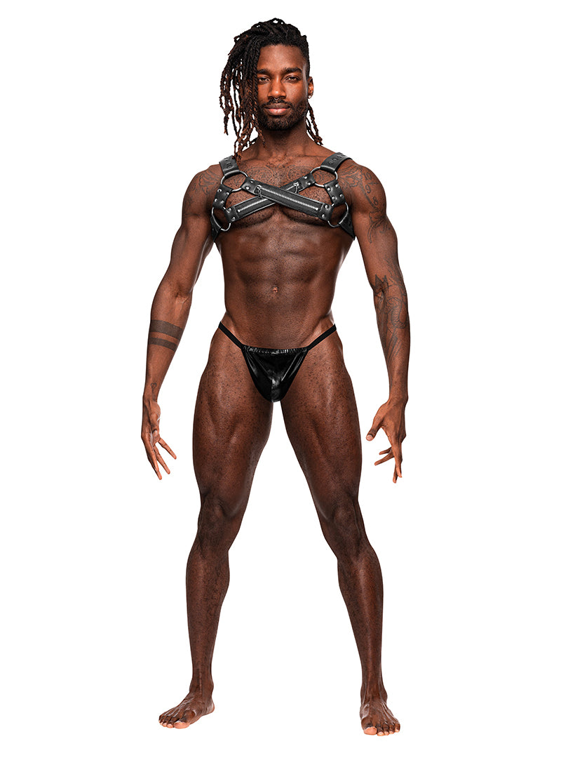 MALE POWER VIRGO HARNESS