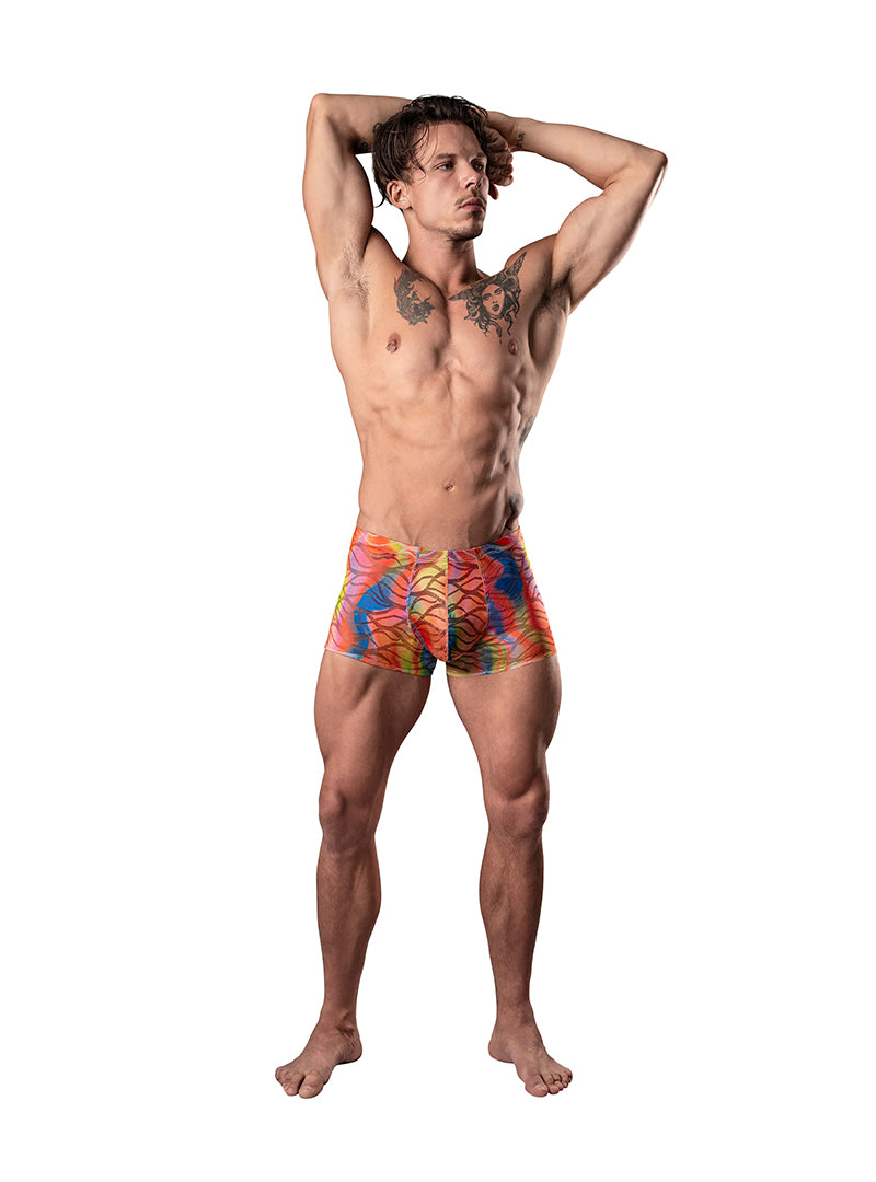 MALE POWER YOUR LACE OR MINE POUCH SHORT