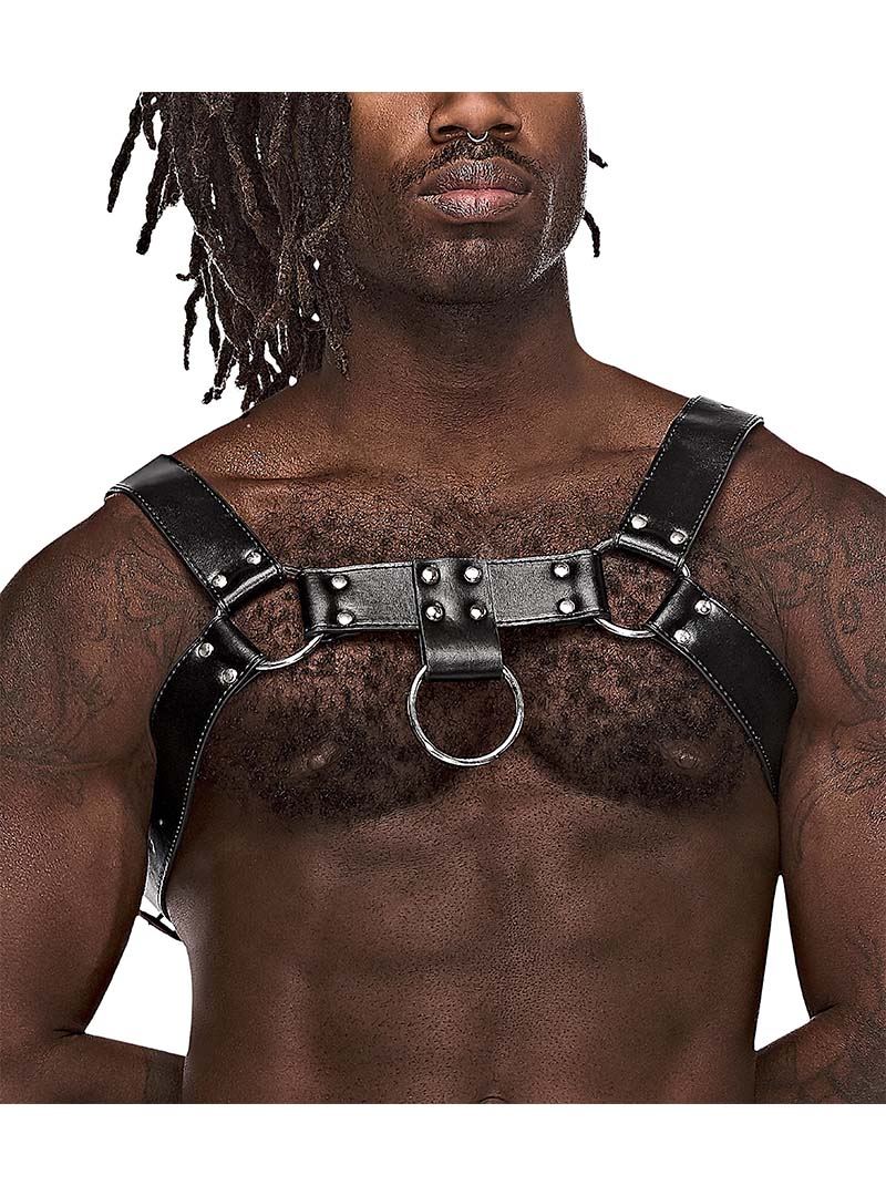 Male Power Aries Harness