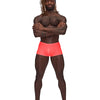 Male Power Barely Mini Short