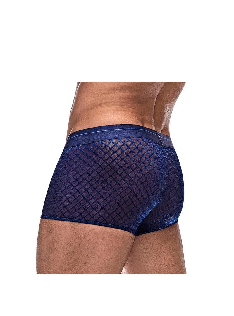 Male Power Diamond Mesh Mini Trunk