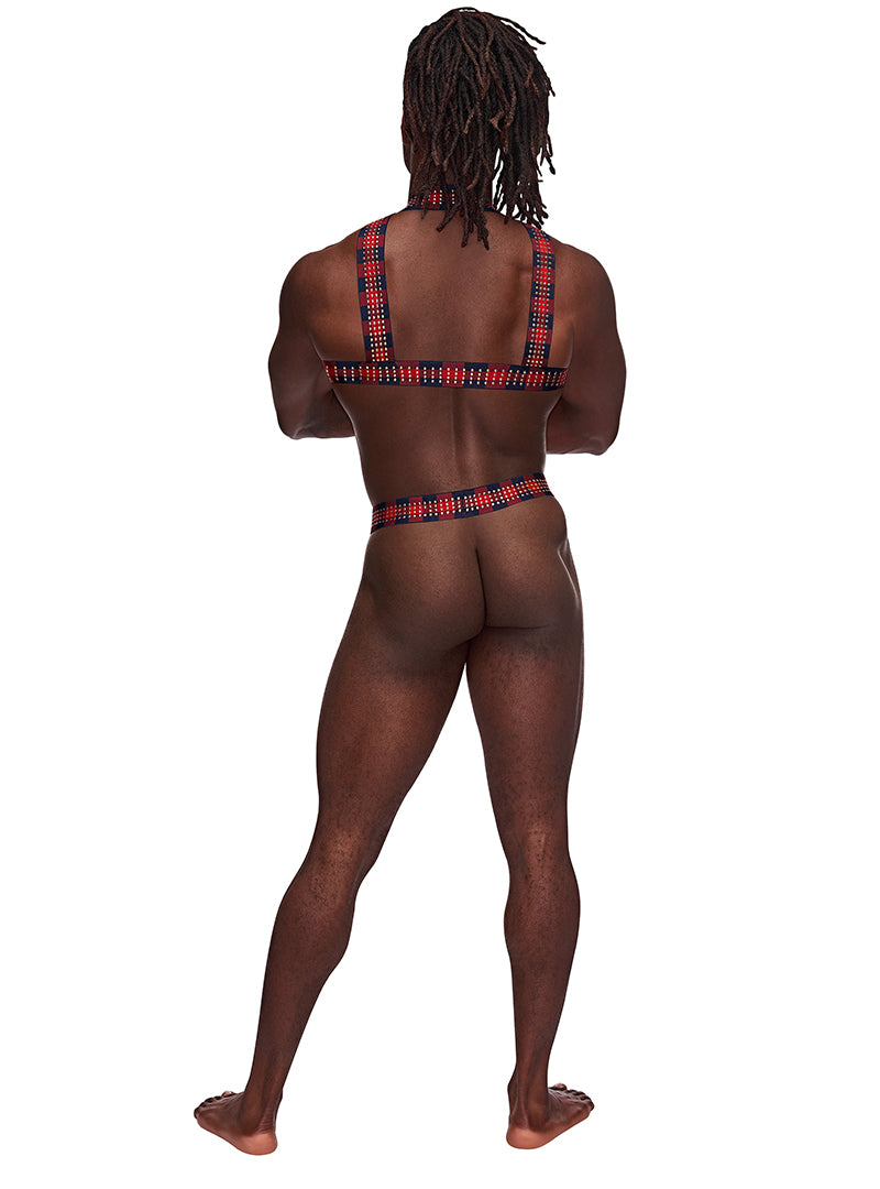 Male Power Elastic Studded Harness with Ring