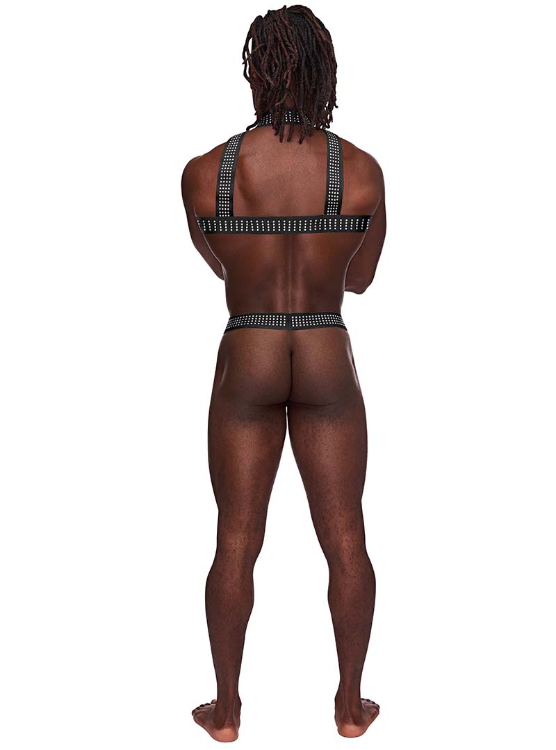 Male Power Elastic Studded Harness with Ring