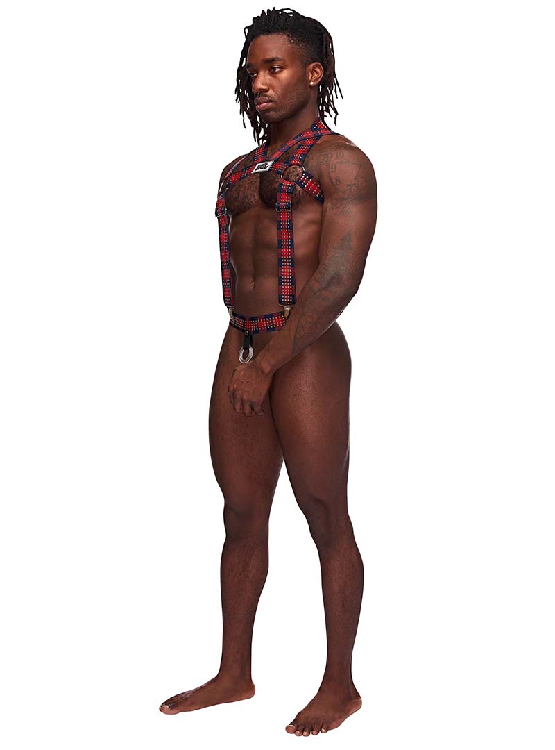 Male Power Elastic Studded Harness with Ring