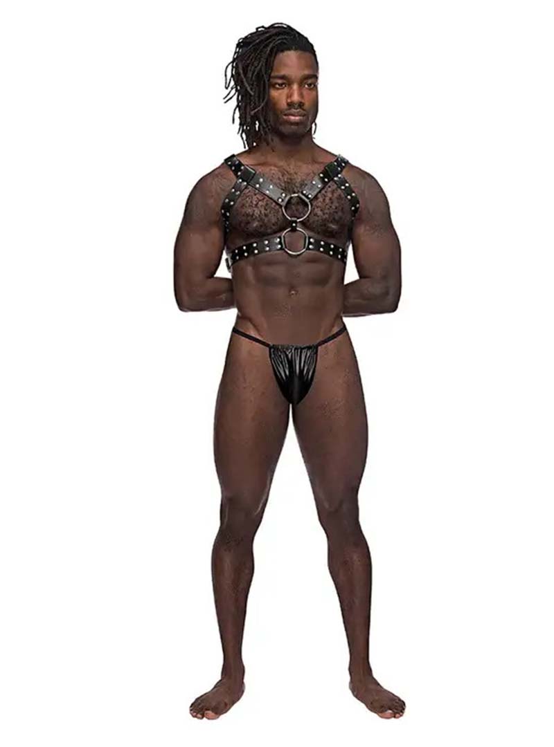 Male Power Gemini Harness