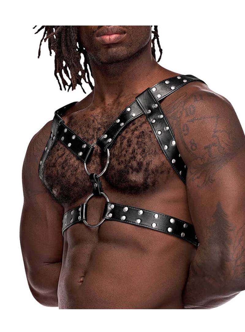 Male Power Gemini Harness