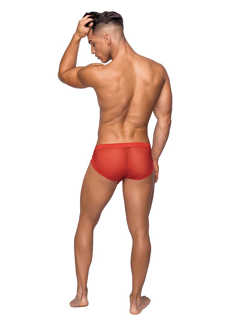 Male Power Micro Mini Hose Brief