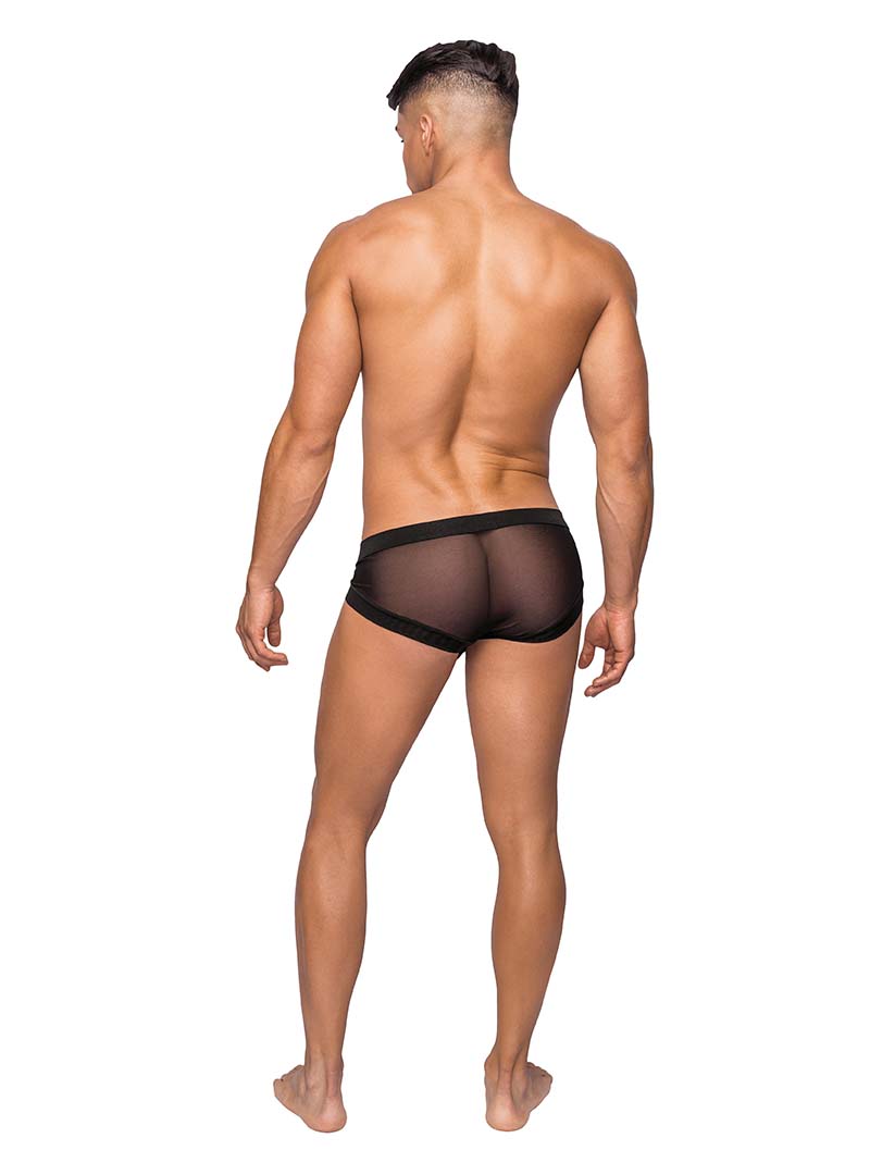 Male Power Micro Mini Hose Brief