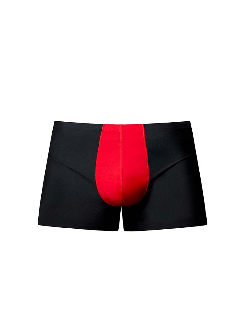 Male Power Hot Mesh Short