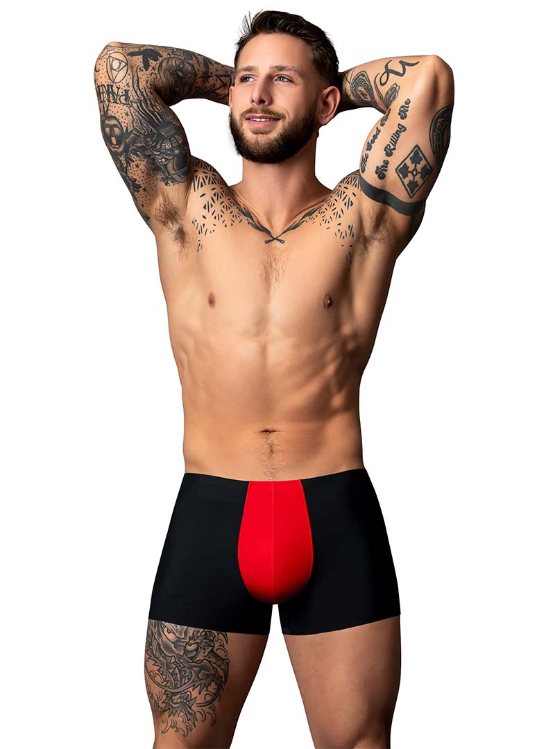 Male Power Hot Mesh Short