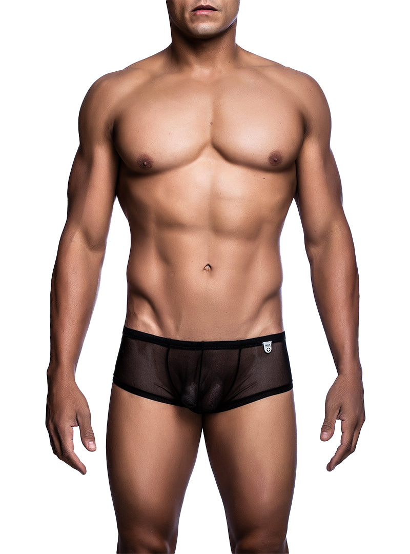 Malebasics Sheer Hip-Hugger Trunks